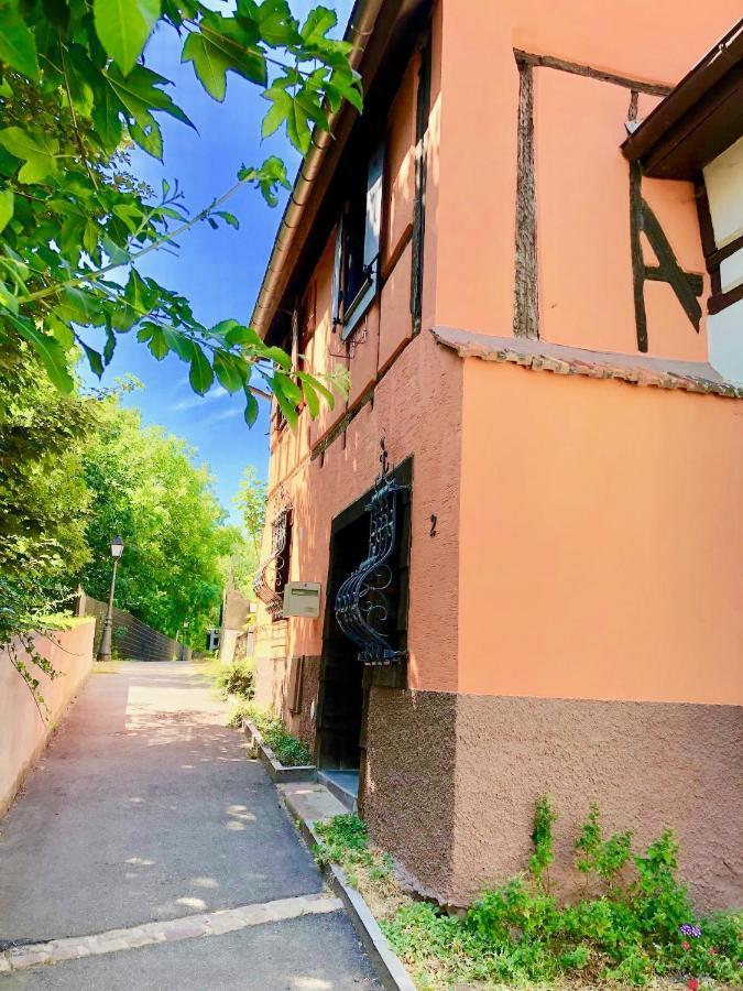 Gite "Rempart Sud" A Ribeauville Bagian luar foto